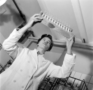 Laborante controleert reageerbuisjes, Bestanddeelnr 254-2507