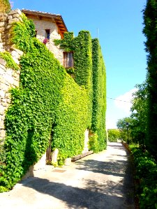Labraza - Muralla 08