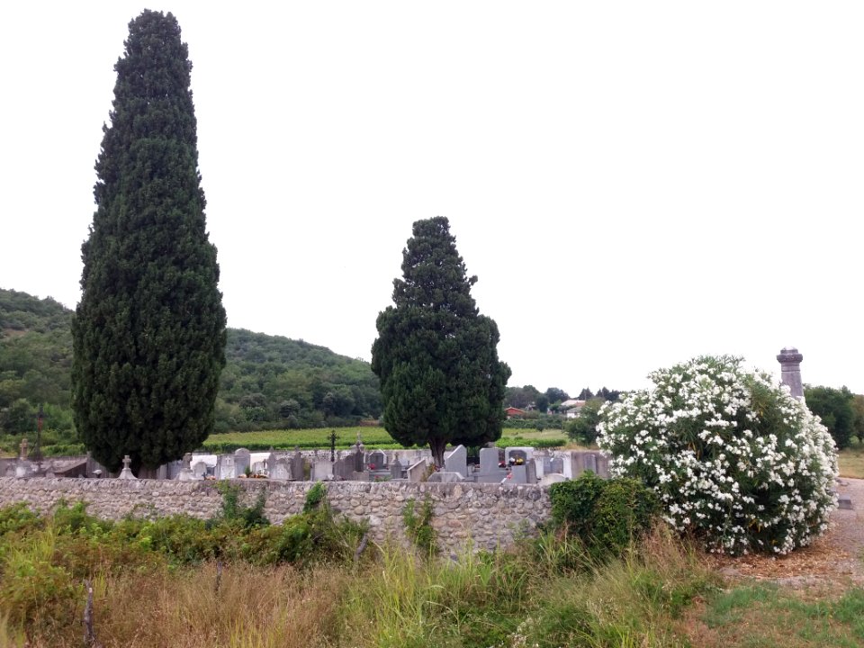 Lanas - Cimetière 8