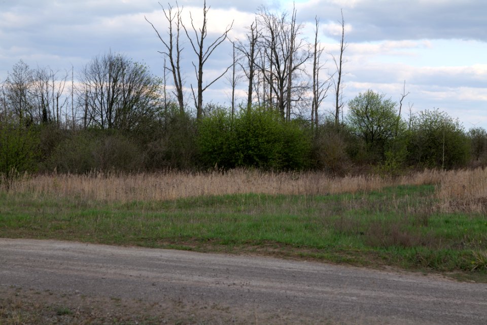 Lakomaer Teiche 2021-04-24 26