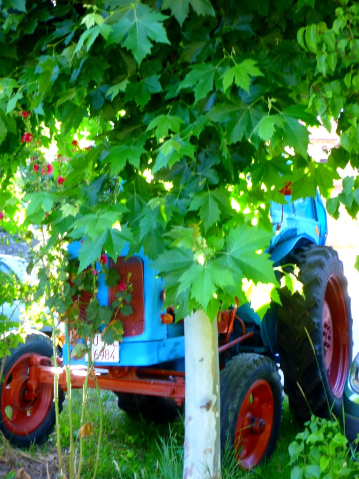 La Piedra - El viejo tractor azul 2