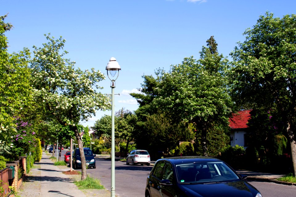 Lessingstraße 20140503 41