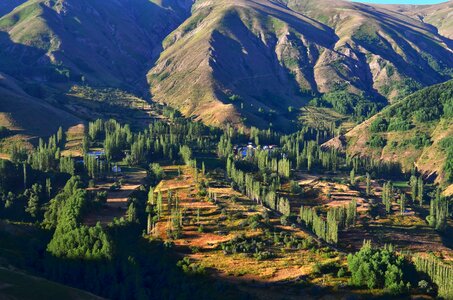 Landscapes nature grass mountain