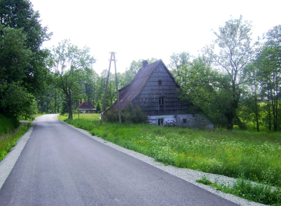Lesica 1mit