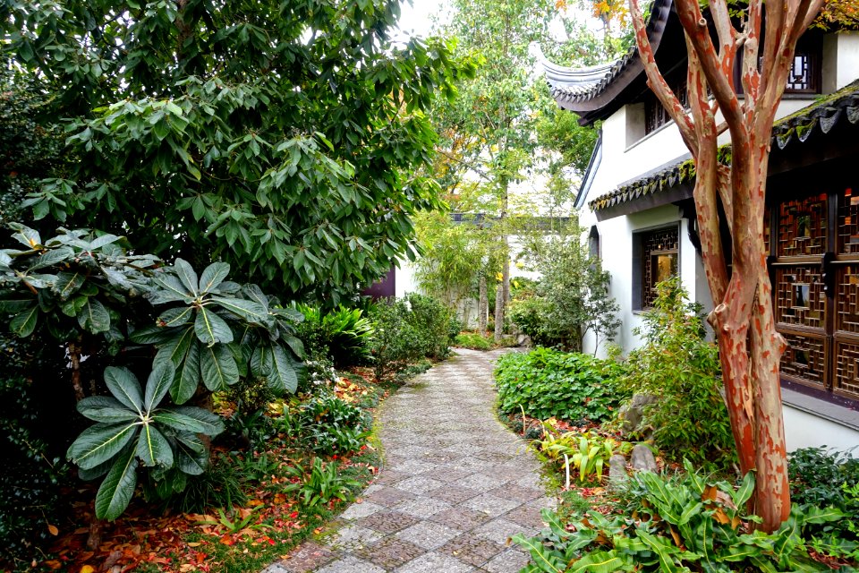 Lan Su Chinese Garden - Portland, Oregon - DSC01594