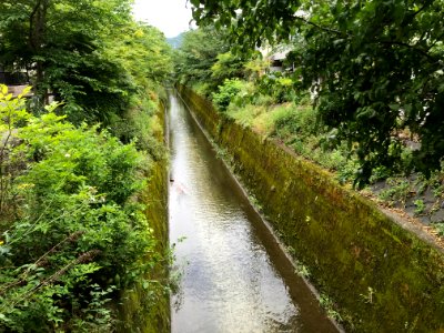 Lake Biwa canal branch Takano river left bank end 20200517