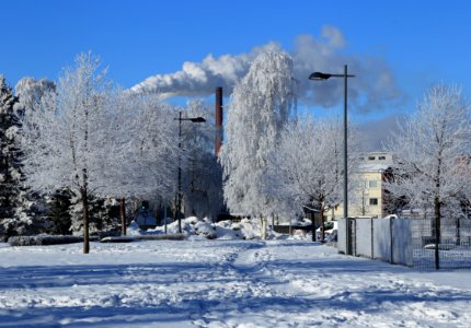 Kyösti Kallion puisto Oulu 20170307 02