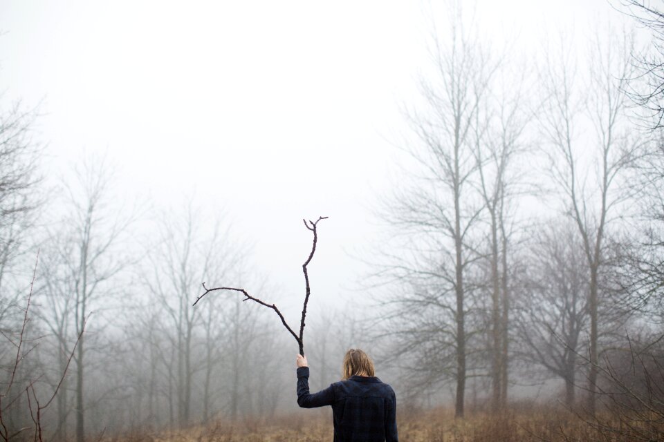 Nature mountain fog