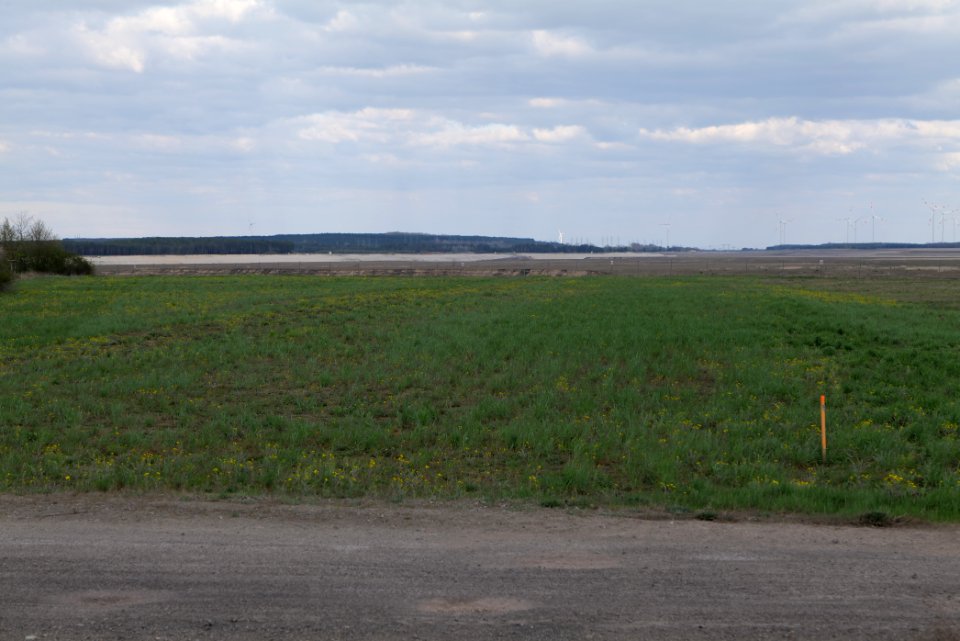Lakomaer Teiche 2021-04-24 08