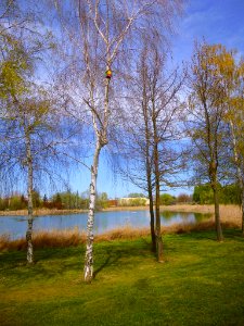 Laguna de Duero - Laguna y Entorno 33