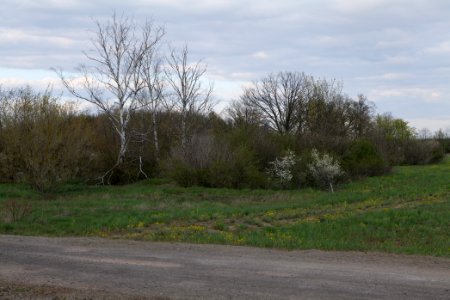 Lakomaer Teiche 2021-04-24 07