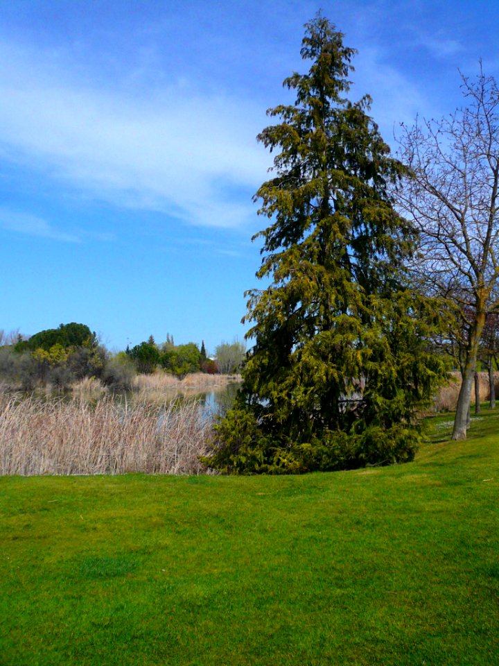 Laguna de Duero - Laguna y Entorno 21