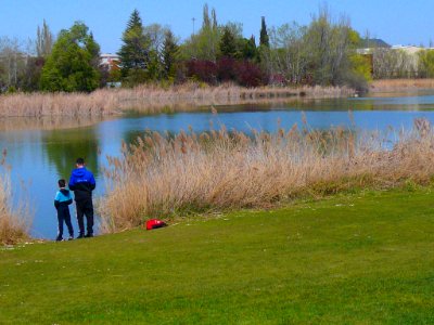 Laguna de Duero - Laguna y Entorno 25