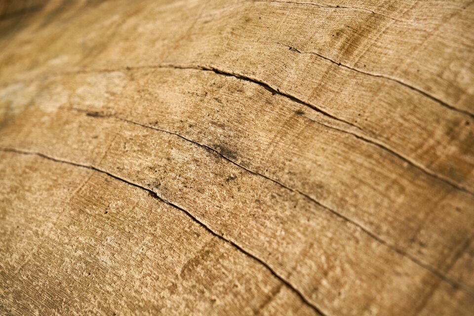 Macro pattern detail
