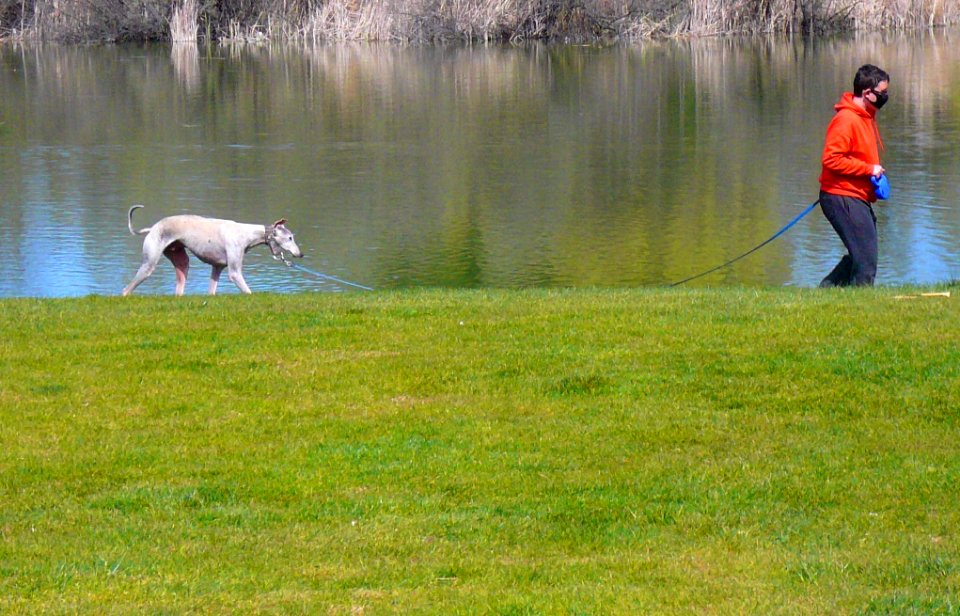 Laguna de Duero - Laguna y Entorno 20