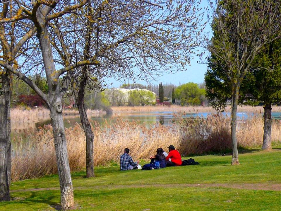 Laguna de Duero - Laguna y Entorno 24
