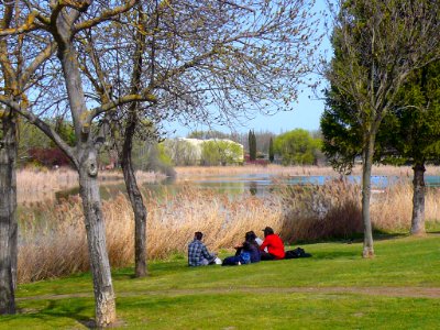 Laguna de Duero - Laguna y Entorno 24