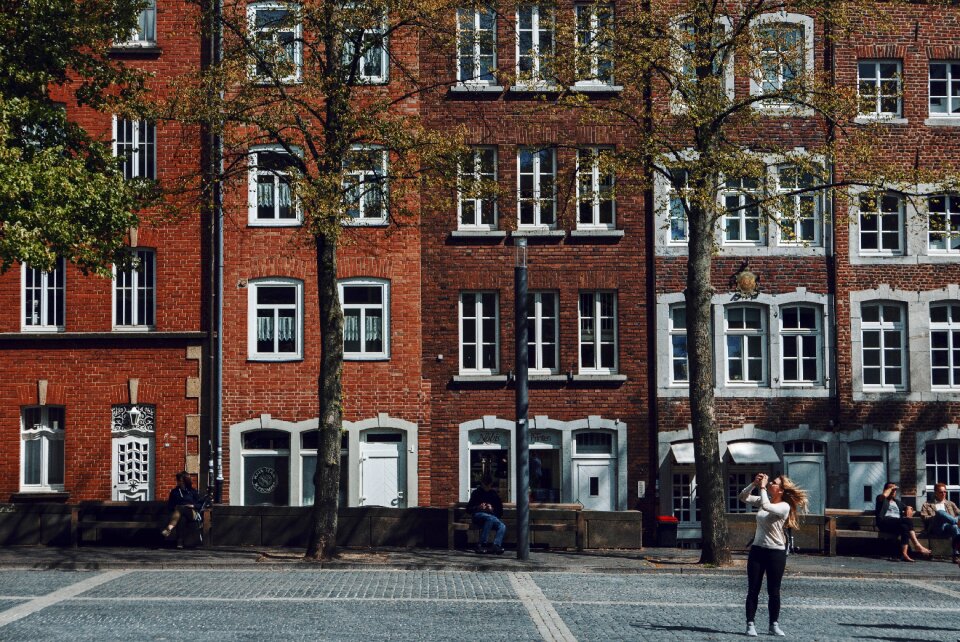 University city tree