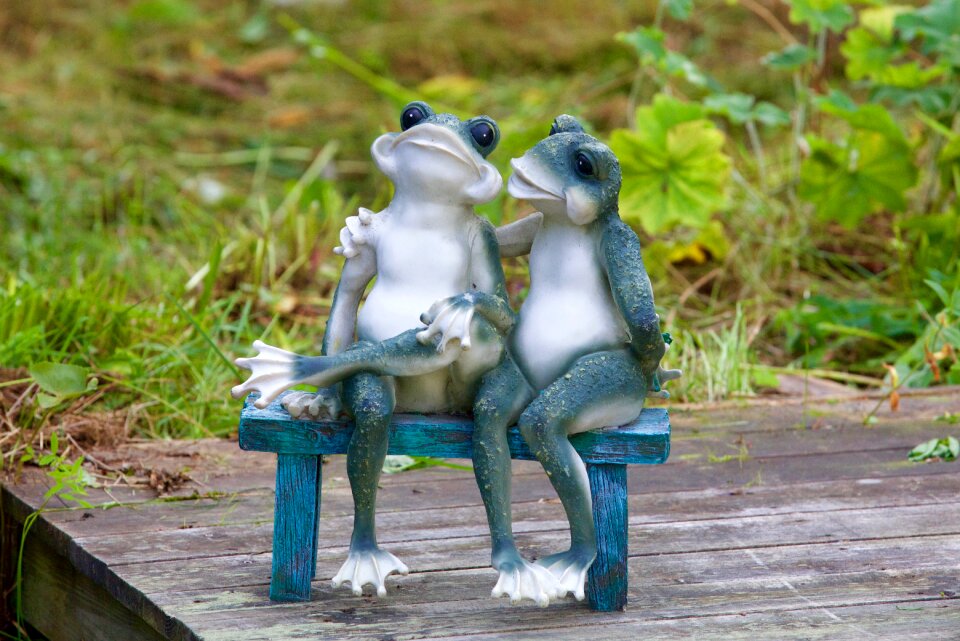 Love amphibian couple