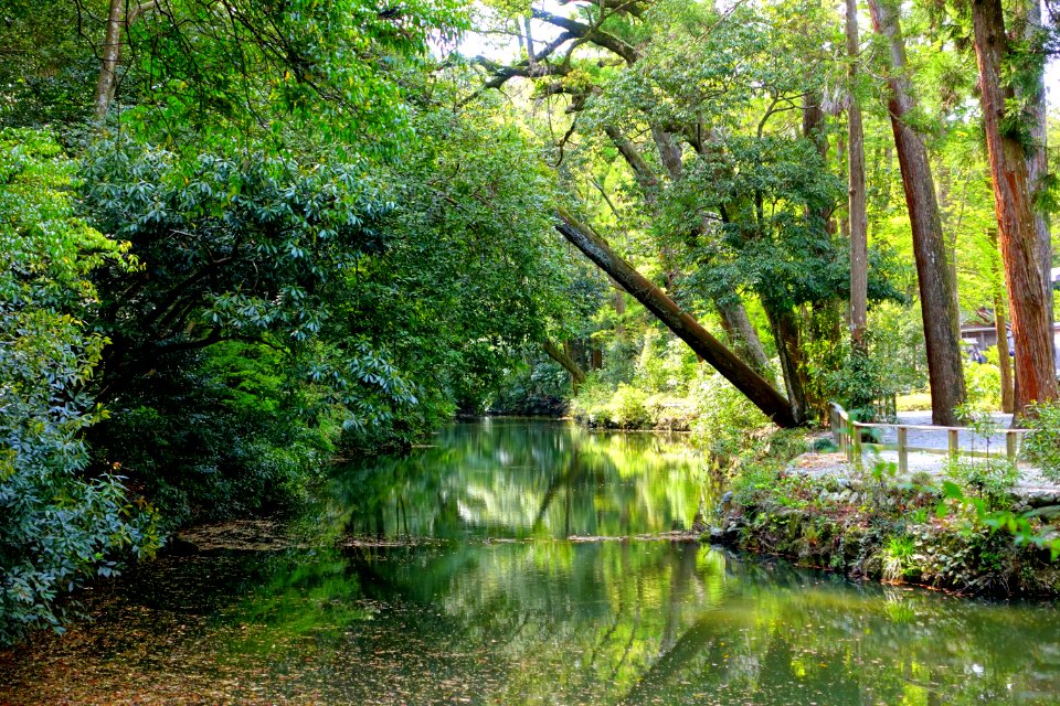 Magatamaike Pond - Geku, Ise Shrine - Ise, Mie, Japan - DSC07874