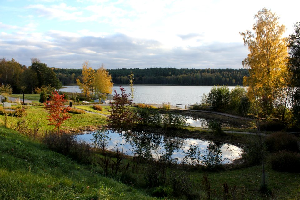 Malmsjön, parken (1)