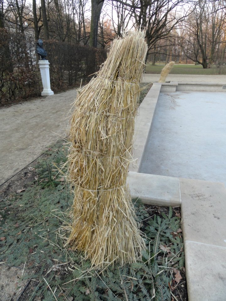 Luty 2019 Łazienki, 8