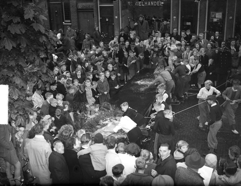 Luilak in Zaandam, Bestanddeelnr 903-9841