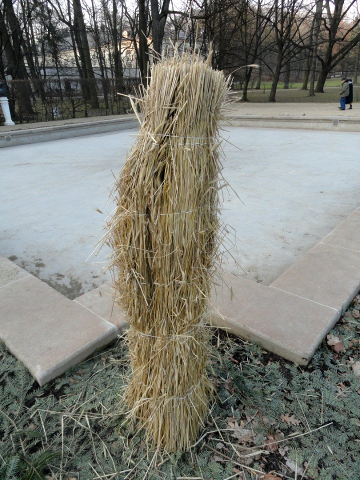 Luty 2019 Łazienki, 9