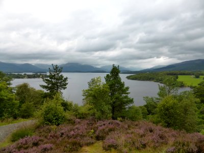 Loch-Lomond-5