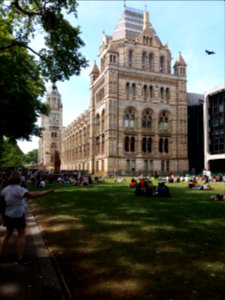 London - Natural History Museum, east side