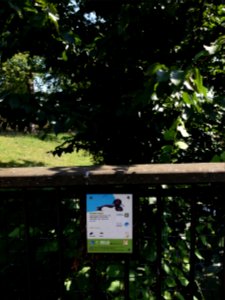 London - Regent's Park, tufted duck sign