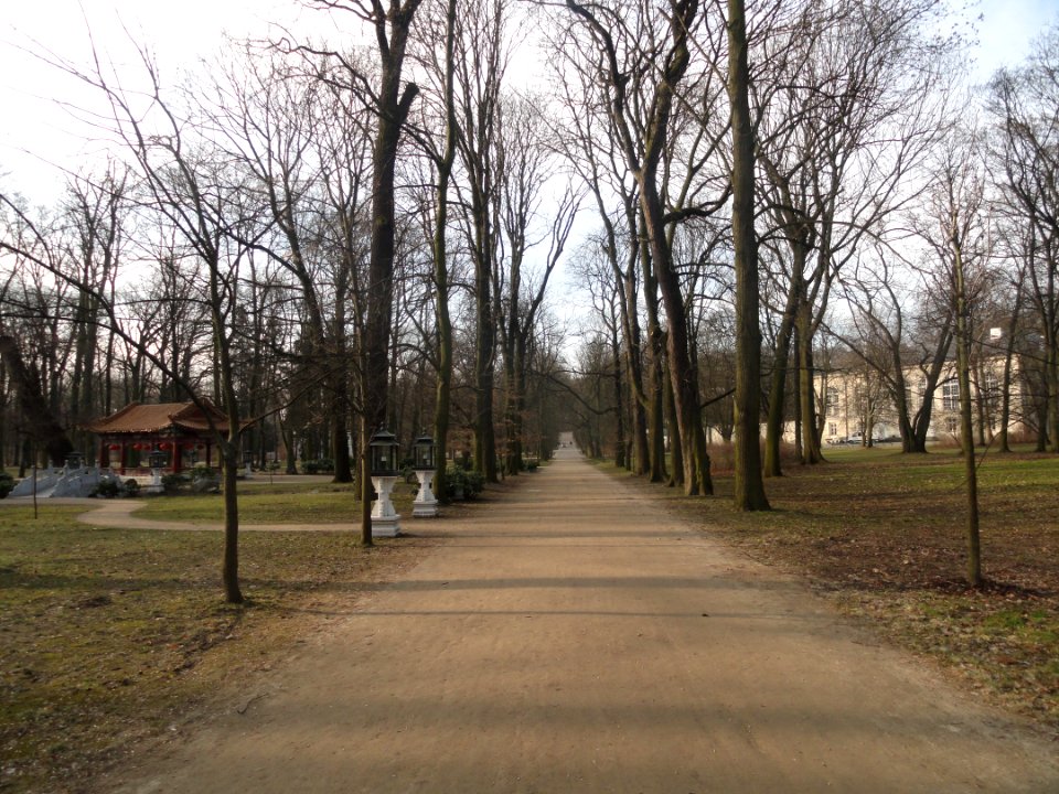 Luty 2019 Łazienki, 32