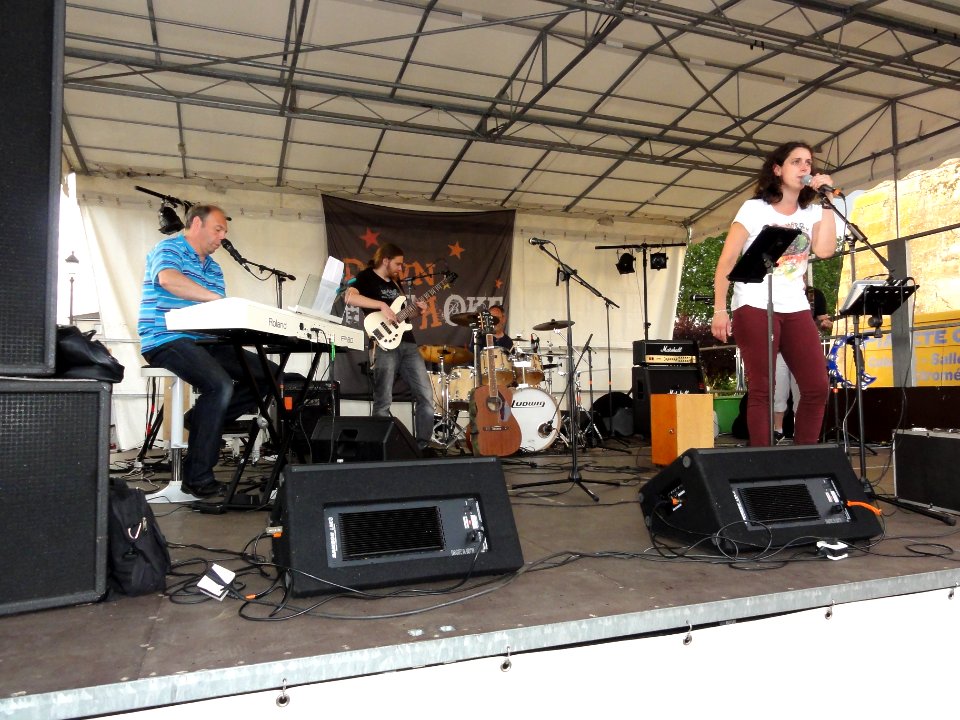 Lunéville, au coeur de l'événement, 1 juillet 2016 (02)