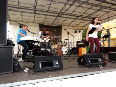 Lunéville, au coeur de l'événement, 1 juillet 2016 (02)