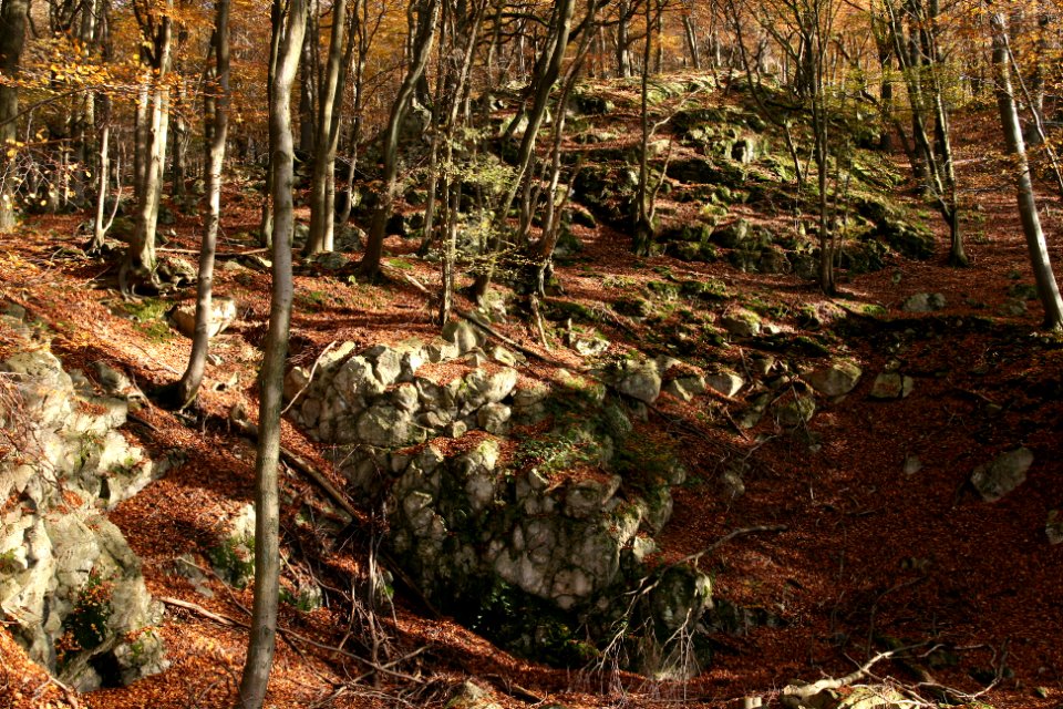 Malberg Westerwaldkreis quarry