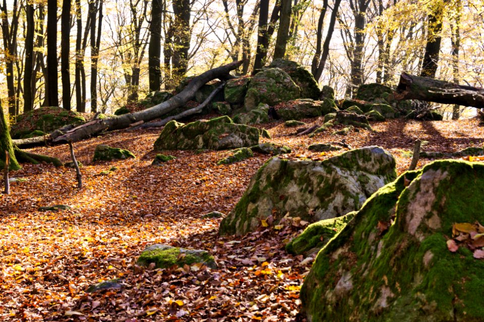 Malberg Westerwaldkreis top (02)