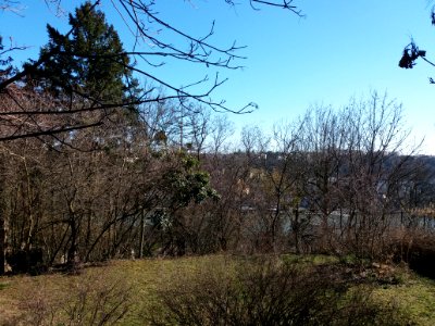 Lyon 9e - Rue Jean-Baptiste Chopin, jardin avec vue sur la Saône au numéro 20bis
