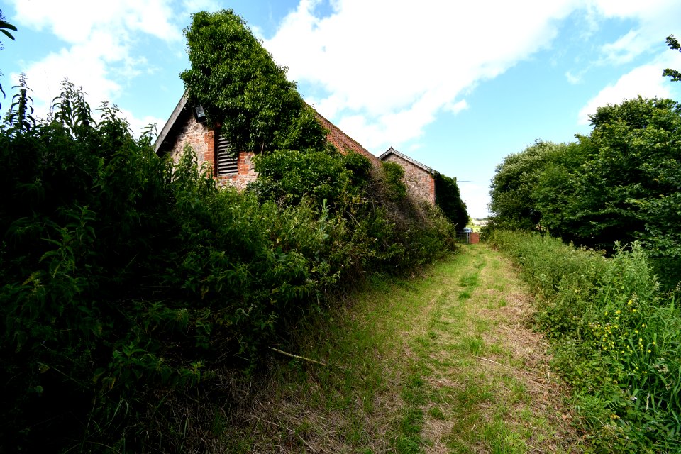 Littleham 2020-06-21 1