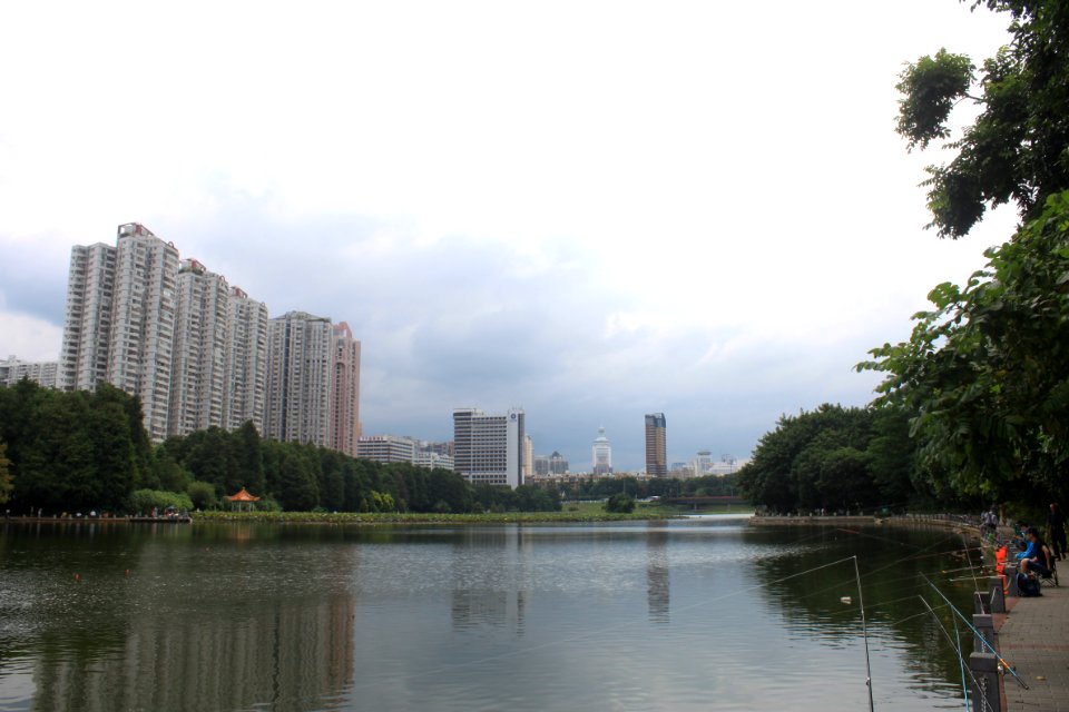Lotus pond of Honghu Park33