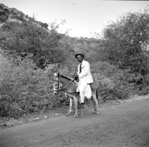 Man op een ezel op Curaçao, Bestanddeelnr 252-7378