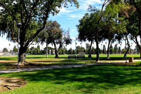 Little Lake Park, Santa Fe Springs CA viewing field