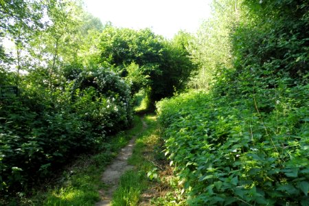 Lippstadt - Margaretensee - 1