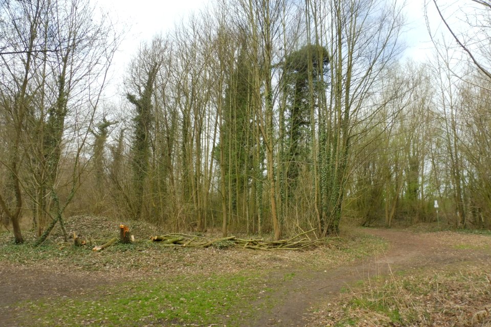 Lippstadt - Margaretensee - 12