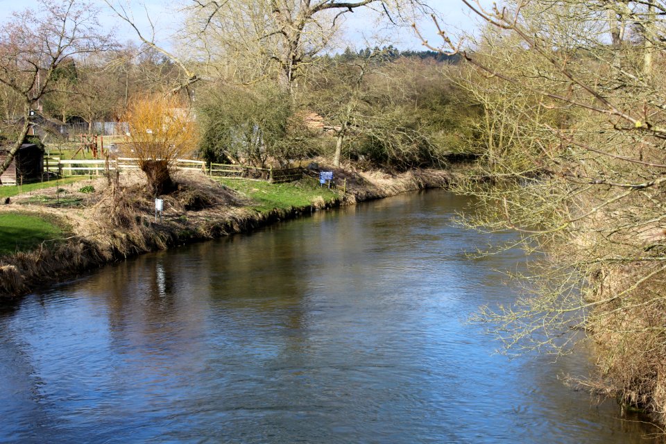 Little Ouse at Santon Downham