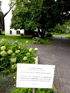 Lippstadt stiftspark 2017