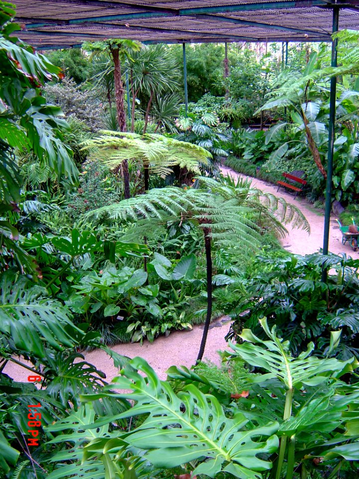 Lisbon Botanical Garden 2006-01-06, detail 03