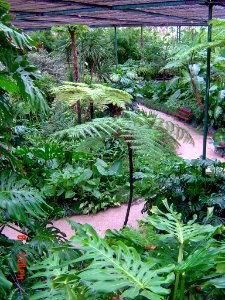 Lisbon Botanical Garden 2006-01-06, detail 03