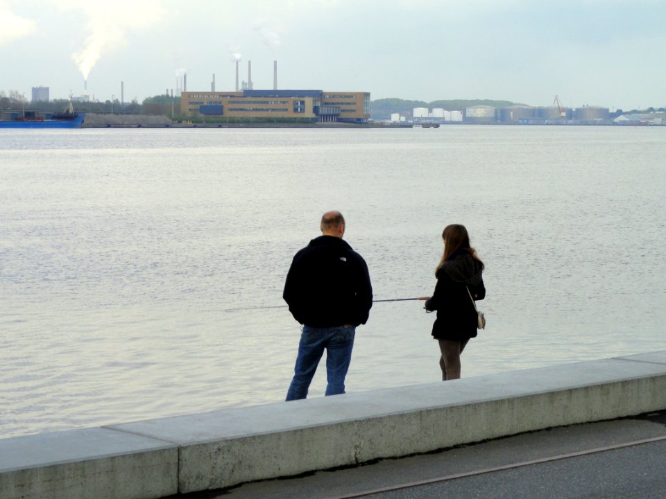 Limfjorden at Aalborg - DSC08498