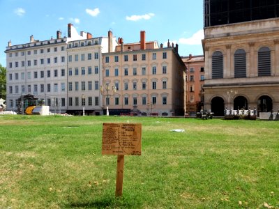 Lyon 1er - Place Louis Pradel, pancarte des plantations massives du 24 mai 2019
