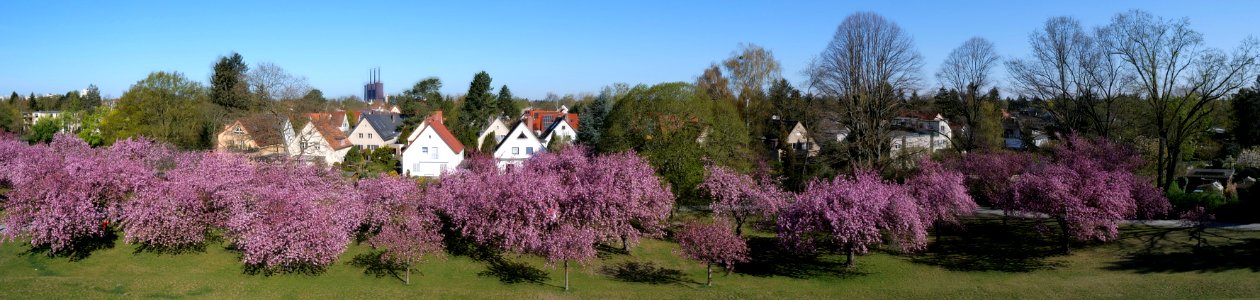 Lilienthalpark.April.2020